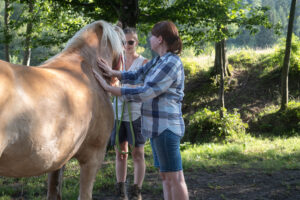 Mag. Studer und Haflinger