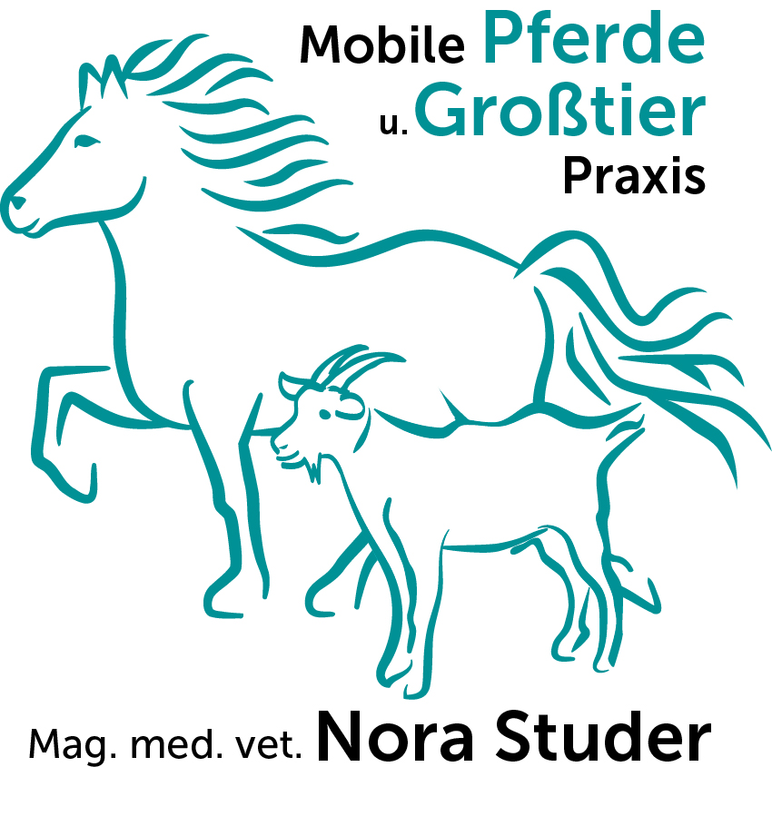 Mobile Pferde- und Großtierpraxis